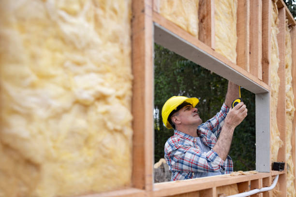 Best Wall Insulation Installation  in Rock Falls, IL